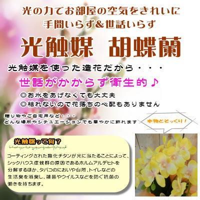 光触媒 胡蝶蘭 造花 消臭 抗菌 ラッピング無料 送料無料 インテリア 3本立ち 6号鉢 701 002 フラワーネット日本花キ流通 通販 Yahoo ショッピング