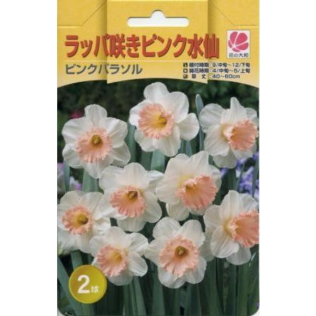 予約販売 花の大和 球根 水仙 ラッパ咲き ピンクパラソル2球セット 801 013 フラワーネット日本花キ流通 通販 Yahoo ショッピング
