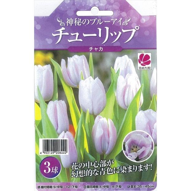 予約販売 花の大和 球根 神秘のブルーアイチューリップ チャカ3球セット 801 007 フラワーネット日本花キ流通 通販 Yahoo ショッピング