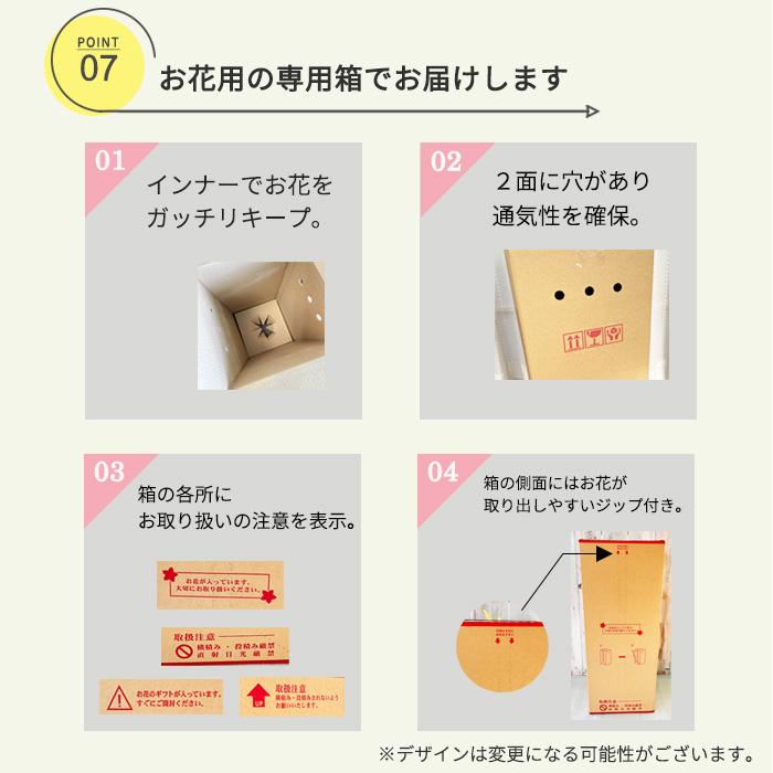 【遅れてごめんね】母の日 プレゼント アジサイ カメレオンホベラ 5号鉢 送料無料 母の日ギフト 花 鉢植え あじさい 紫陽花｜flower-net｜08