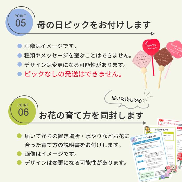 【遅れてごめんね】母の日 プレゼント アジサイ てまりてまりブルー 5号鉢 送料無料 母の日ギフト 花 鉢植え あじさい 紫陽花｜flower-net｜07