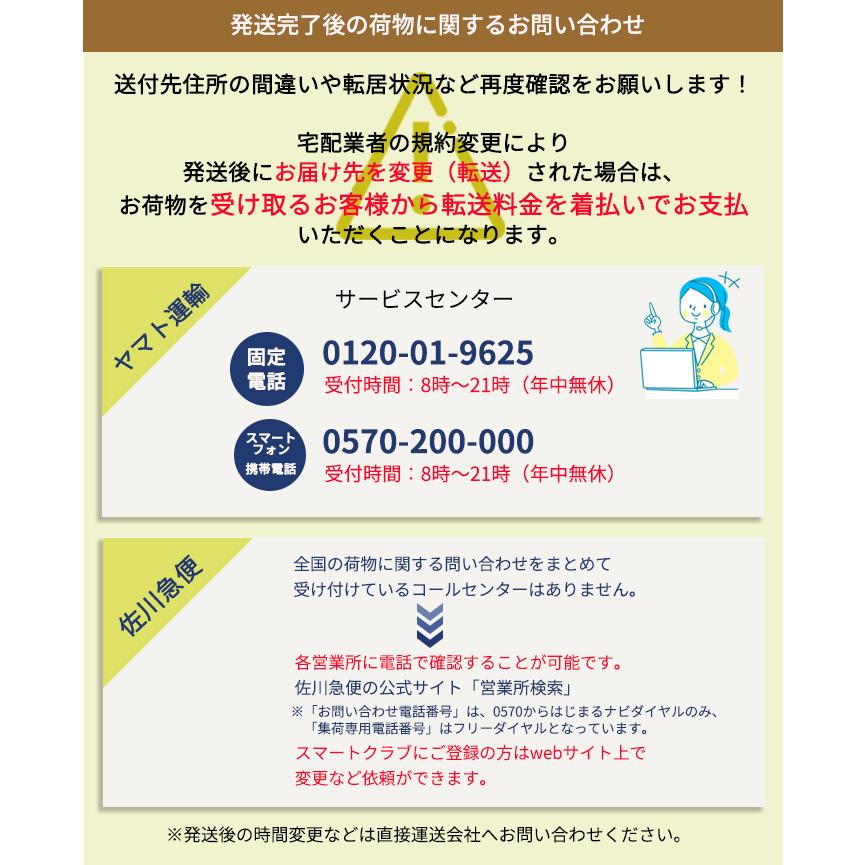 【遅れてごめんね】母の日 プレゼント カーネーション バンビーノ 4号鉢 送料無料 母の日ギフト 花 鉢植え｜flower-net｜15