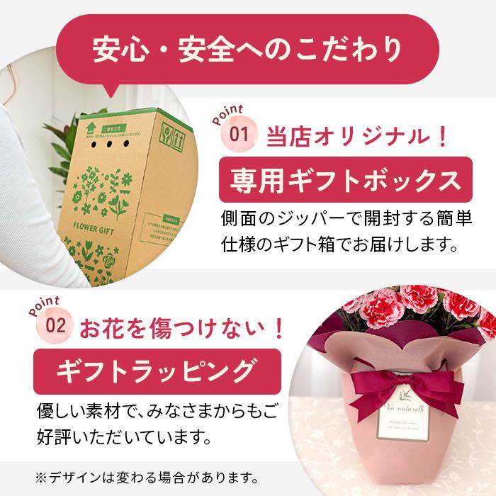 ＼遅れてごめんね／ 母の日 プレゼント 選べる カーネーション 12色 5号鉢 送料無料 メッセージカード付き 母の日ギフト 花 鉢植え 日本花キ流通 | 日本花キ流通 | 27