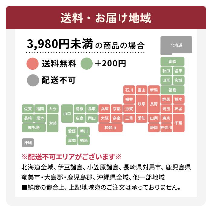 ＼遅れてごめんね／ 母の日 プレゼント 選べる カーネーション 12色 5号鉢 送料無料 メッセージカード付き 母の日ギフト 花 鉢植え 日本花キ流通 | 日本花キ流通 | 30