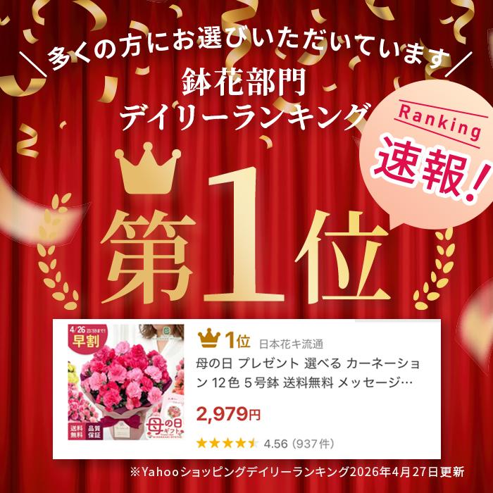 ＼遅れてごめんね／ 母の日 プレゼント 選べる カーネーション 12色 5号鉢 送料無料 メッセージカード付き 母の日ギフト 花 鉢植え 日本花キ流通 | 日本花キ流通 | 13