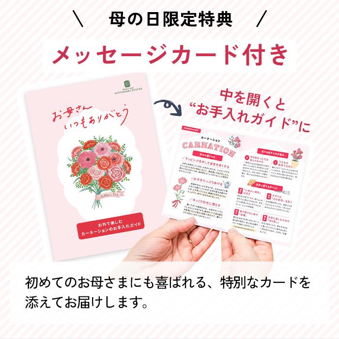 ＼遅れてごめんね／ 母の日 プレゼント 選べる カーネーション 12色 5号鉢 送料無料 メッセージカード付き 母の日ギフト 花 鉢植え 日本花キ流通 | 日本花キ流通 | 18