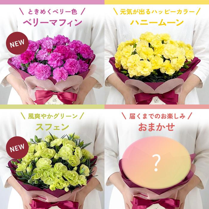 ＼遅れてごめんね／ 母の日 プレゼント 選べる カーネーション 12色 5号鉢 送料無料 メッセージカード付き 母の日ギフト 花 鉢植え 日本花キ流通 | 日本花キ流通 | 22