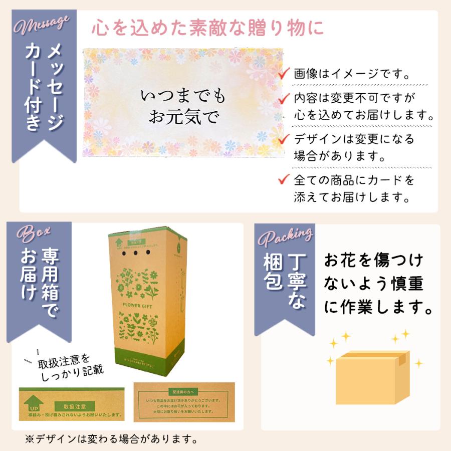 日本花キ流通 敬老の日 プレゼント リンドウ いわて乙女 5号鉢