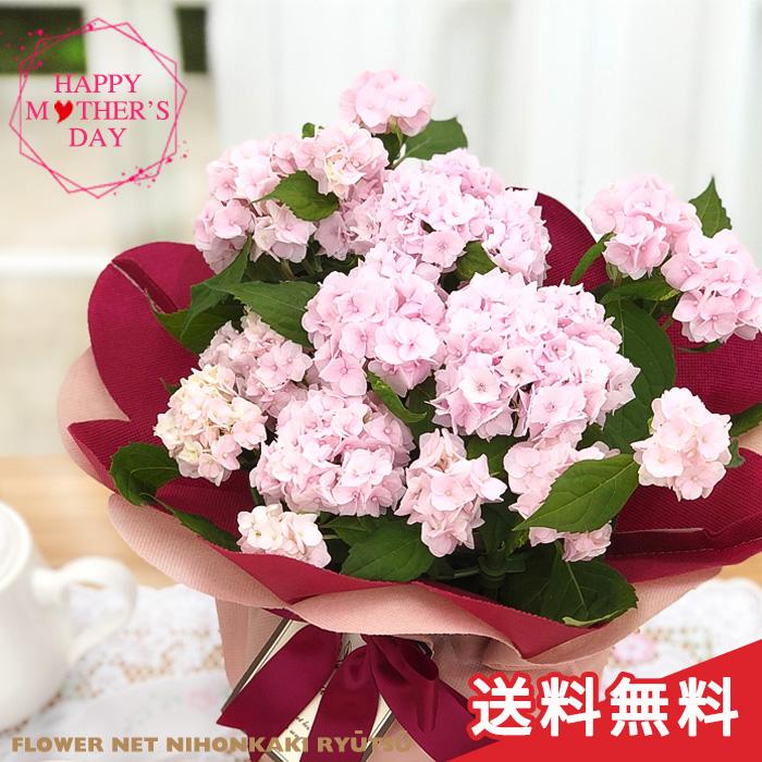 遅れてごめんね 母の日 ギフト 山あじさい 伊予獅子てまり ピンク ギフト 贈り物 プレゼント あじさい 紫陽花 5号鉢 送料無料 花 鉢植え Z フラワーネット日本花キ流通 通販 Yahoo ショッピング