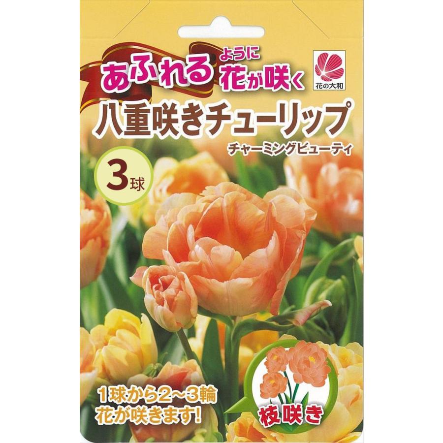 花の大和 球根 あふれるように花が咲く八重咲チューリップ
