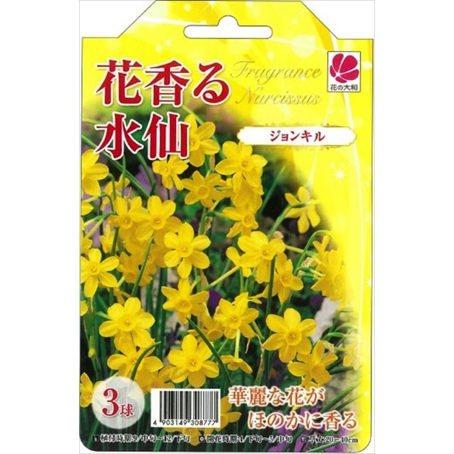 予約販売 花の大和 球根 きゅうこん 水仙 花香る水仙 ジョンキル 2球 10月中旬以降発送 Z070 フラワーネット日本花キ流通 通販 Yahoo ショッピング