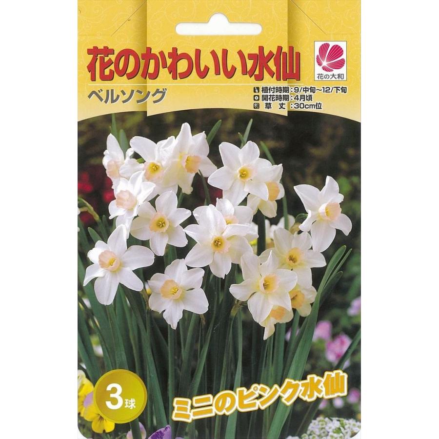 予約販売 花の大和 球根 水仙 花のかわいい水仙 ベルソング 3球 Z フラワーネット日本花キ流通 通販 Yahoo ショッピング