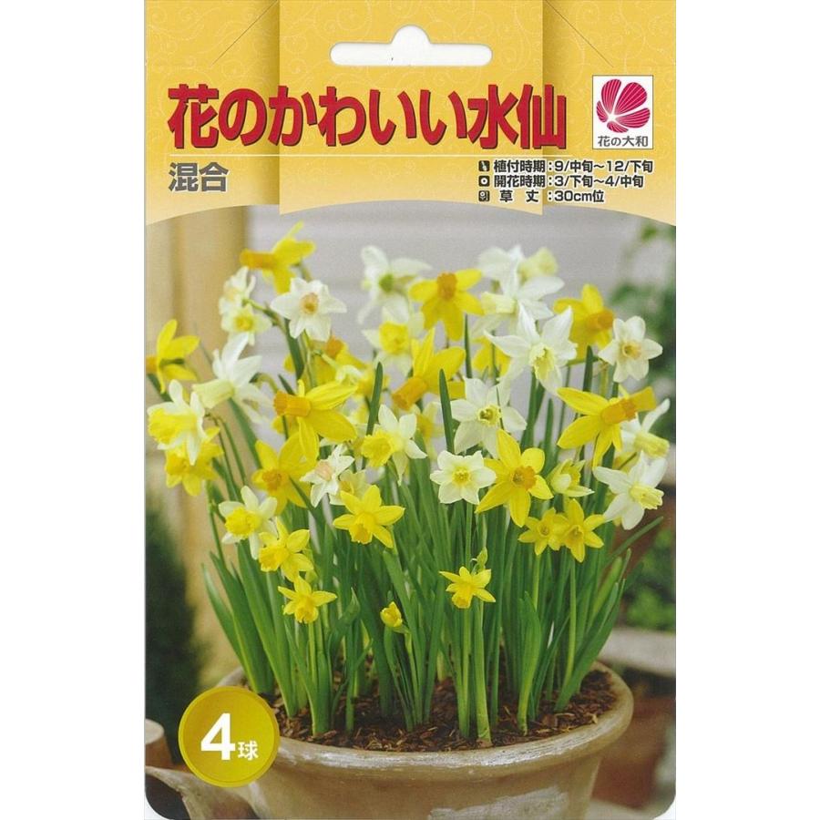 花の大和 球根 きゅうこん 水仙 花のかわいい水仙 混合 4球 Z フラワーネット日本花キ流通 通販 Yahoo ショッピング