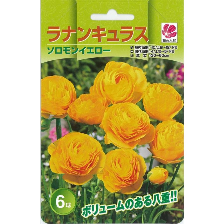 花の大和 球根 きゅうこん ラナンキュラス 色別 ソロモンイエロー 6球 Z フラワーネット日本花キ流通 通販 Yahoo ショッピング