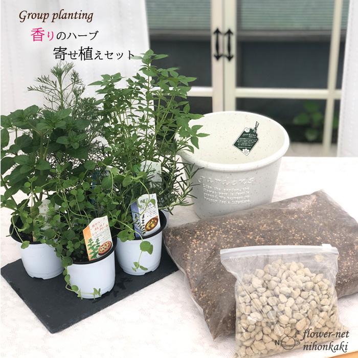 香りのハーブ 寄せ植えセット 送料無料 栽培キット 寄せ植え ハーブ 家庭菜園 エコポット Sny Z フラワーネット日本花キ流通 通販 Yahoo ショッピング