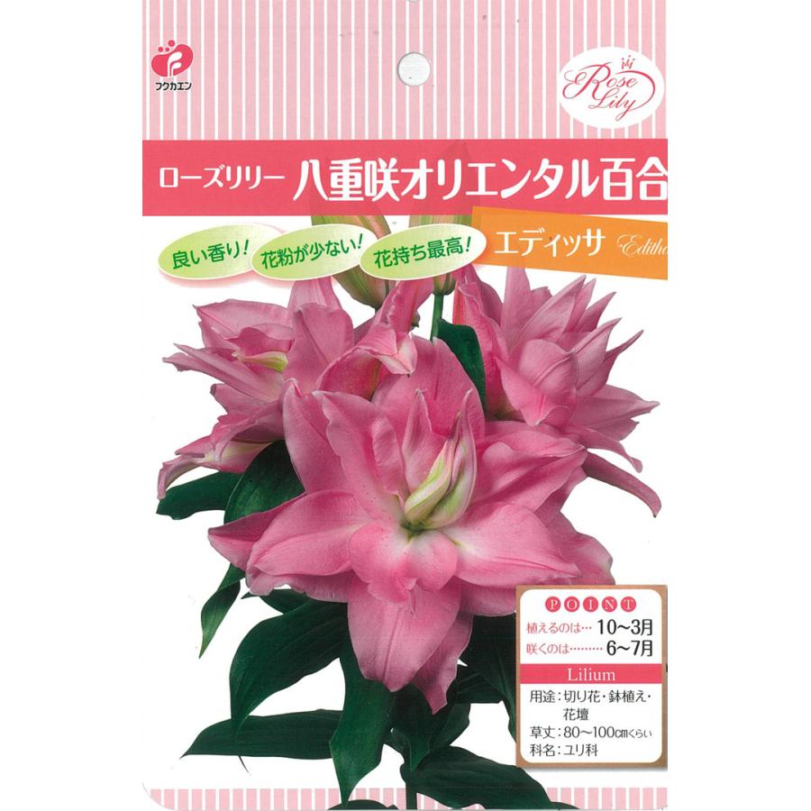 特価販売　豪華八重咲きセット　ローズリリー　百合　６号　3本立ホワイト&ピンク１ ユリ 球根 八重咲ユリ (無花粉) 美色ローズリリーセット 3種6球