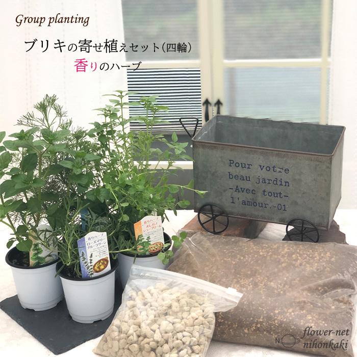 香りのハーブ ブリキ寄せ植えセット 四輪 送料無料 栽培キット 寄せ植え ハーブ 家庭菜園 Sny Herb Z フラワーネット日本花キ流通 通販 Yahoo ショッピング