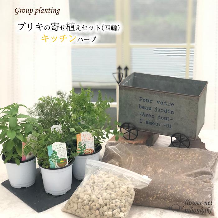 キッチンハーブ ブリキ寄せ植えセット 四輪 送料無料 栽培キット 寄せ植え ハーブ 家庭菜園 Sny Z フラワーネット日本花キ流通 通販 Yahoo ショッピング