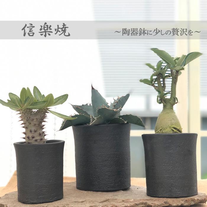 資 03 02 黒マット寸胴 3 5号鉢 陶器 鉢 植木鉢 信楽焼 和風 インテリア 多肉植物 おしゃれ Z フラワーネット日本花キ流通 通販 Yahoo ショッピング