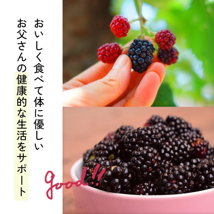 日本花キ流通 父の日 花 ギフト ブラックベリー 5号鉢 送料無料 父の日