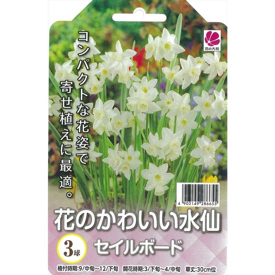 予約販売 花の大和 球根 水仙 花のかわいい水仙 セイルボート 3球 10月中旬以降発送 Z フラワーネット日本花キ流通 通販 Yahoo ショッピング