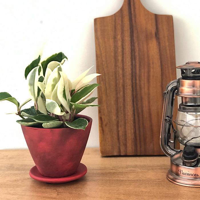 資 植木鉢 NA008-120RE レッド 陶器 鉢 和風 インテリア 多肉植物