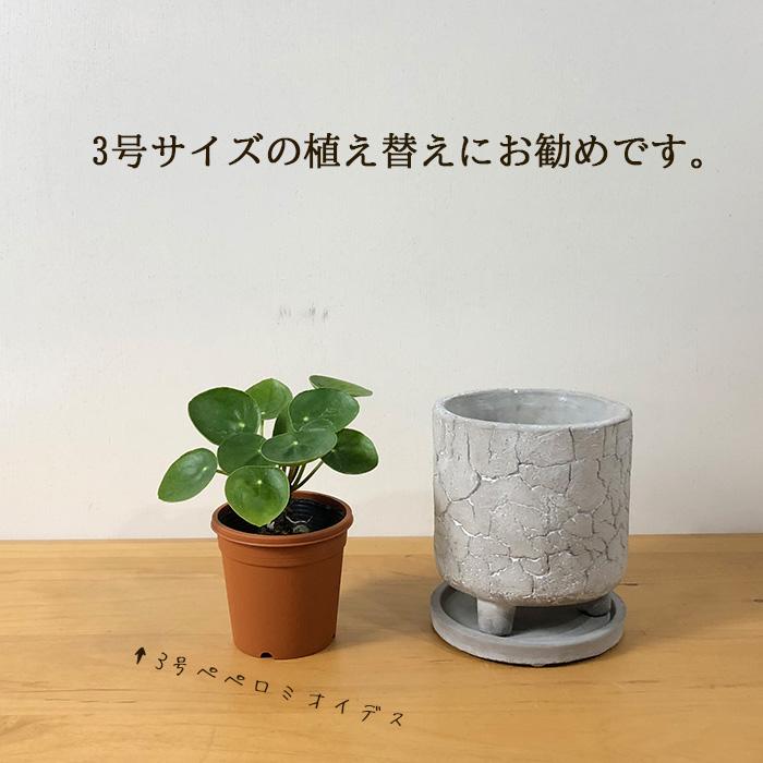 資 CF-002S WG 4号 クラック足付 受皿付 陶器 鉢 植木鉢 インテリア
