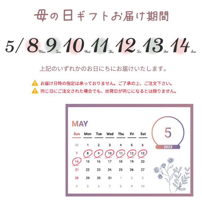 母の日 ギフト カーネーション いちごホイップ 4号鉢 送料無料 母の日ギフト 贈り物 プレゼント 花 鉢植え｜flower-net｜05