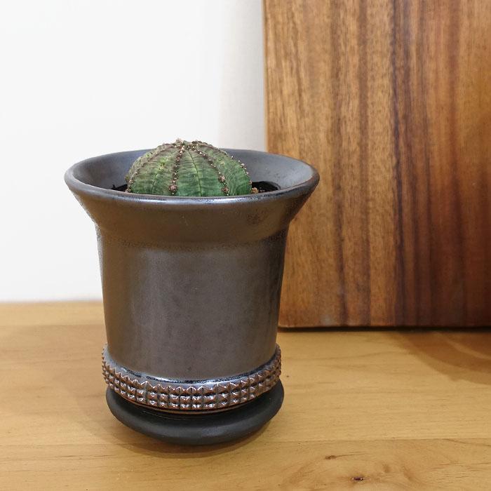 資 植木鉢 NA023-100 ブロンズ 陶器 鉢 和風 インテリア 多肉植物