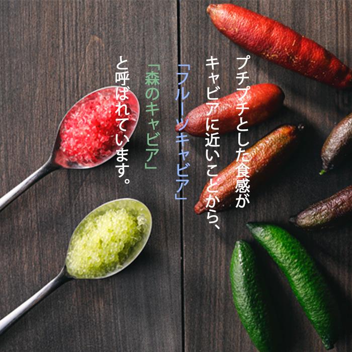 フィンガーライム 150cm 大株 フィンガーライム 実付き 大株 現品150センチ