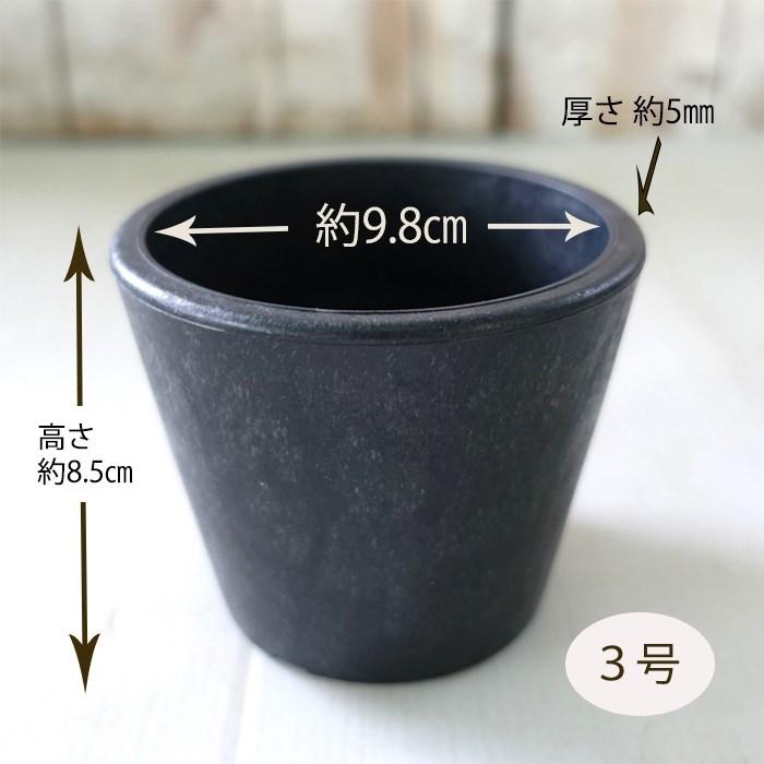 新品「多肉植物の欲しがる植木鉢」3号相当 特価12個セット 送料無料！ 資 鉢 多肉植物 コーデックス アガベ 専用 プラ鉢 3号鉢 植木鉢