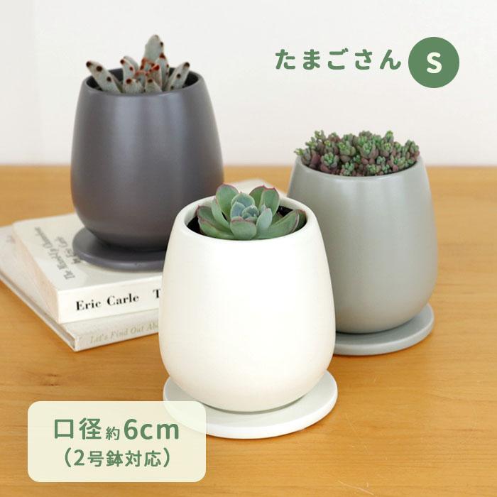 カラーが選べる植木鉢 たまごさん Sサイズ 資 PP-0032-S 2号