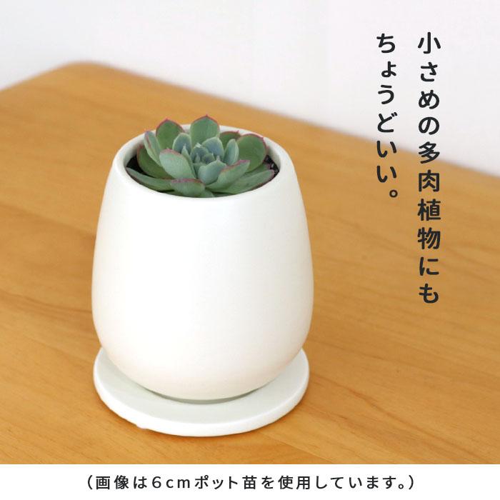 カラーが選べる植木鉢 たまごさん Sサイズ 資 PP-0032-S 2号 受皿付