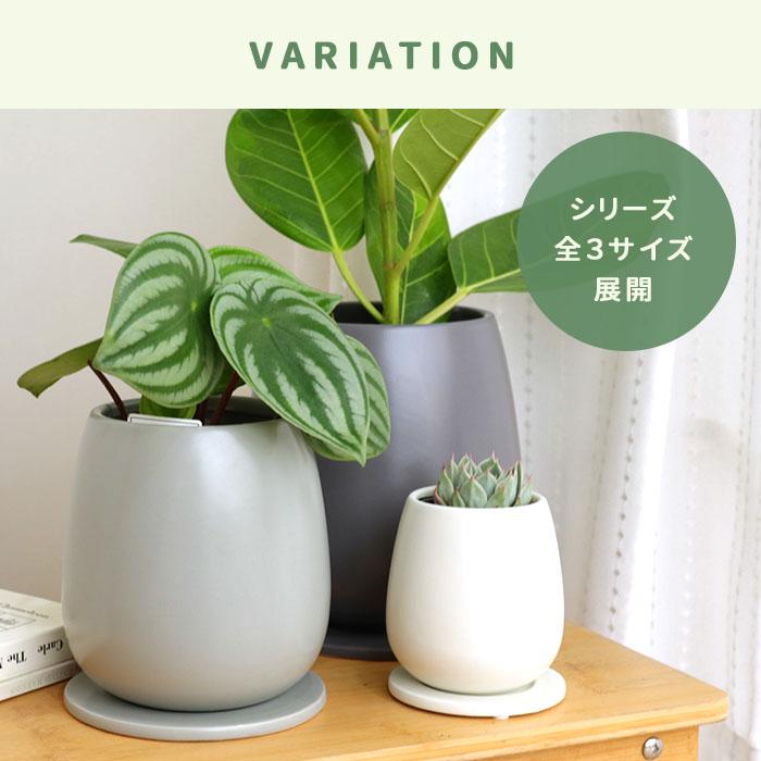 お皿　銘有り　共箱付き。。。 楽天市場】灰皿 木樽 ふた付き バレル 0.35L オハイザラ 卓上