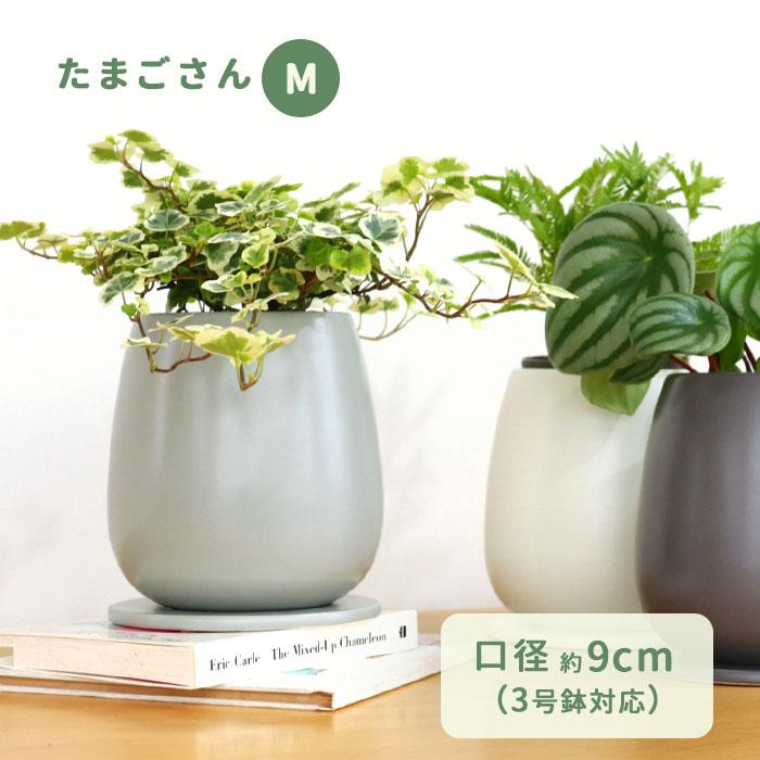 カラーが選べる植木鉢 たまごさん Mサイズ 資 PP-0032-M 3号 受皿付