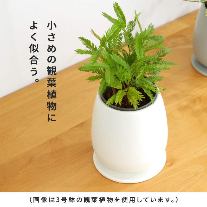 カラーが選べる植木鉢 たまごさん Mサイズ 資 PP-0032-M 3号 受皿付