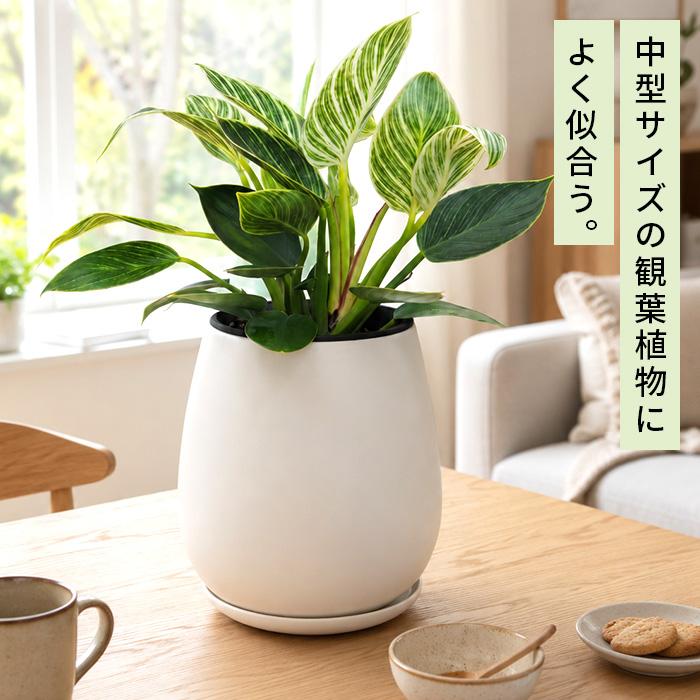日本花キ流通 カラーが選べる植木鉢 たまごさん Lサイズ 資 PP-0032-L