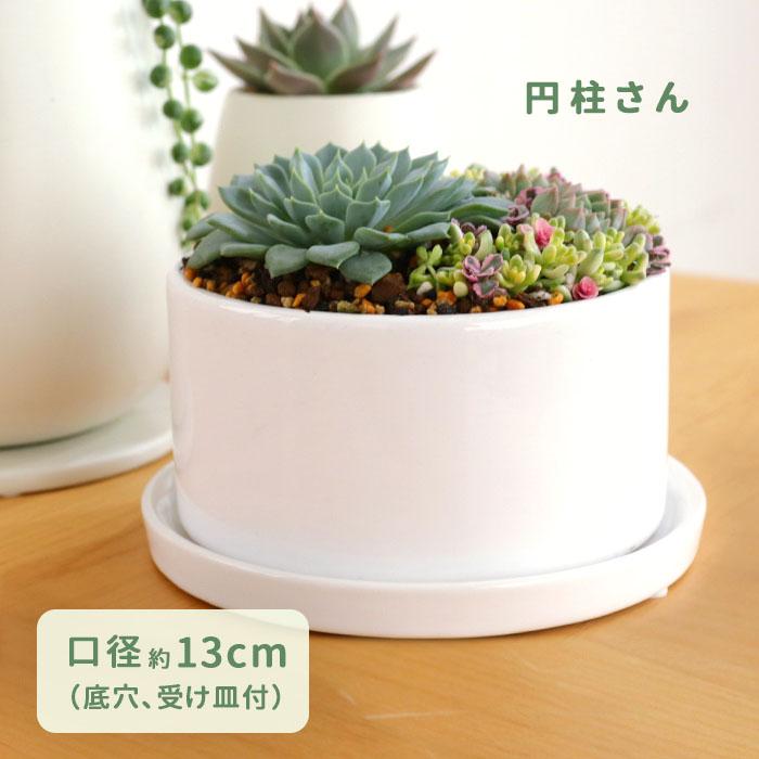 円柱さん 資 PP-0128S-WH 4号 受皿付 陶器 鉢 インテリア 多肉