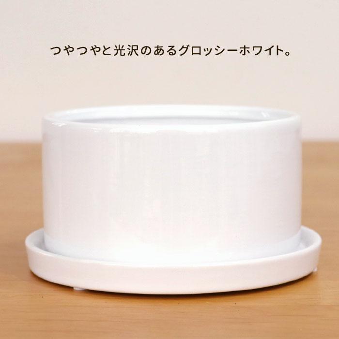 円柱さん 資 PP-0128S-WH 4号 受皿付 陶器 鉢 インテリア 多肉植物