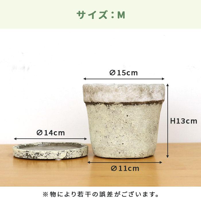 カラーが選べる植木鉢 チーズケーキさん Mサイズ 資 PP-0111M 4 カラーが選べる植木鉢 チーズケーキさん Mサイズ 資 PP-0111M 4
