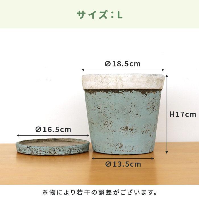 カラーが選べる植木鉢 チーズケーキさん Lサイズ 資 PP-0111L 5号 受皿