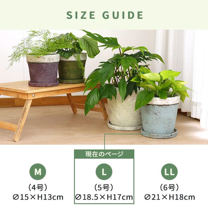 カラーが選べる植木鉢 チーズケーキさん Lサイズ 資 PP-0111L 5 カラーが選べる植木鉢 チーズケーキさん Lサイズ 資 PP-0111L 5