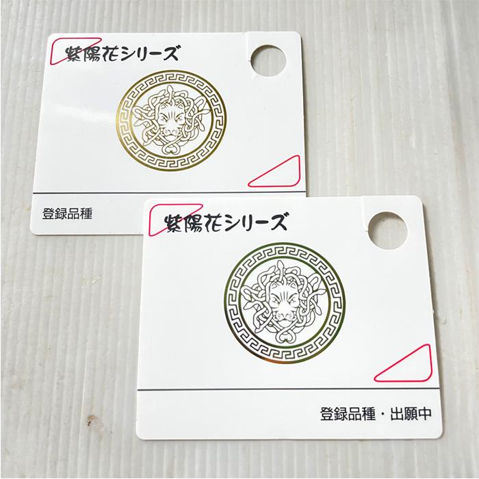予約販売 アジサイ 星組 9cmポット 登録品種 ハイドランジア 苗 花苗