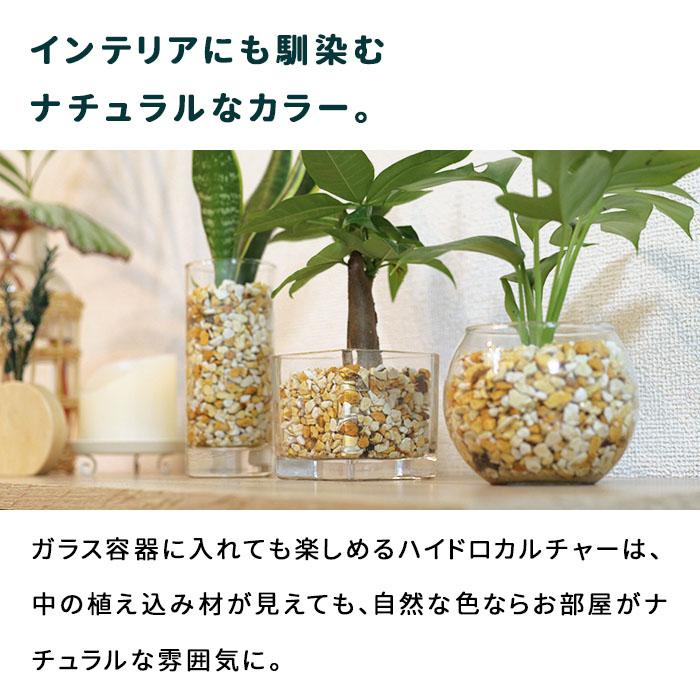 資 ゼオライト 600ml ハイドロカルチャー 植え替え用 用土 根腐れ防止剤 観葉植物 土を使わない 水耕栽培 インテリアグリーン おしゃれ｜flower-net｜04