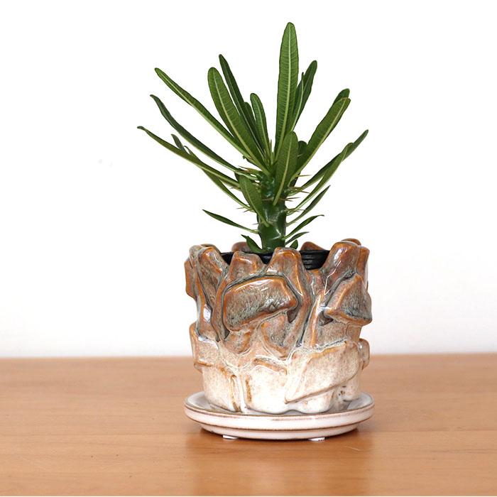 資 RY-3133 TTP 3.5号 ロックポット 受皿付 陶器 鉢 植木鉢 インテリア