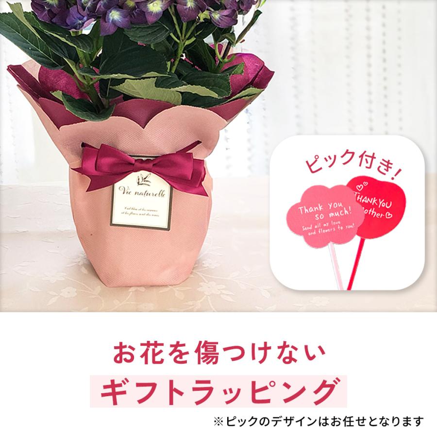 日本花キ流通 母の日 ギフト 花 選べる アジサイ 6色 4号鉢 送料無料