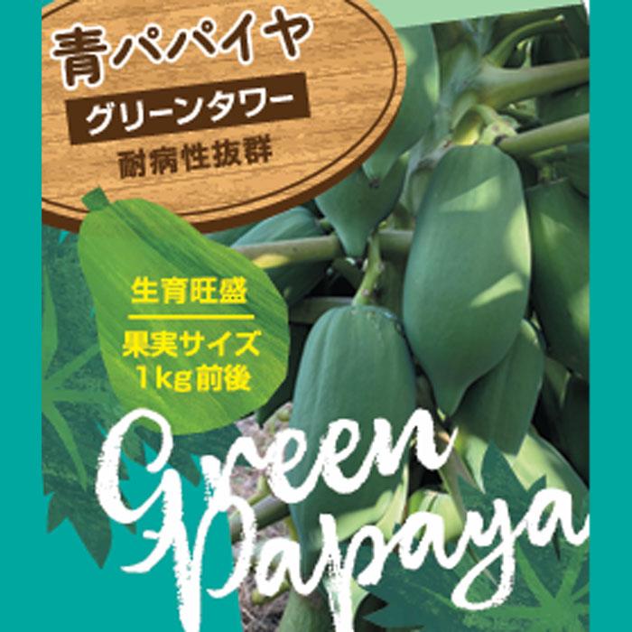 日本花キ流通 予約販売 パパイヤ 苗 青パパイヤ グリーンタワー 3.5号