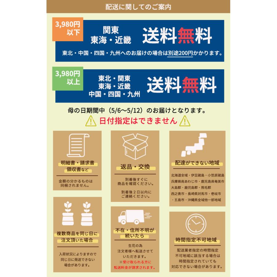 【遅れてごめんね】母の日 プレゼント ツツジ ミセスグラバー 6号鉢 送料無料 母の日ギフト 花 鉢植え best｜flower-net｜11