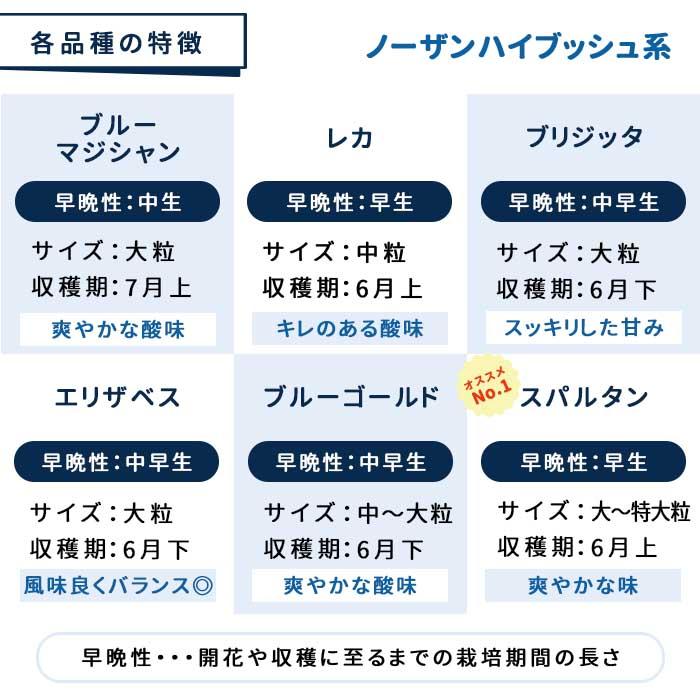 日本花キ流通 【予約販売】 選べる14品種 ブルーベリー 苗 ノーザン