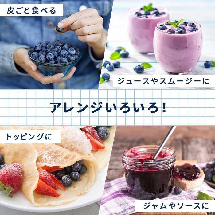 ブルーベリー苗　5号ポット11本セット ブルーベリー苗 5号ポット11本セット 日本花キ流通 予約販売